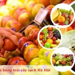 cửa hàng trái cây sạch Hà Hội