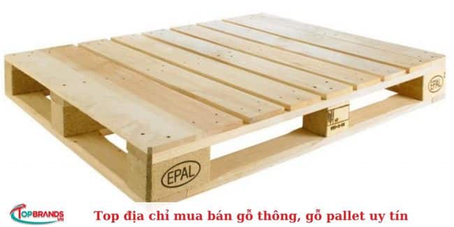 Công ty CP Đầu tư Sản xuất An Việt