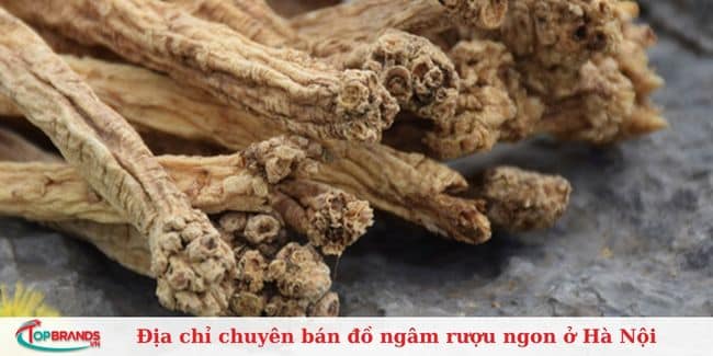 Đồ ngâm rượu bác Mạnh