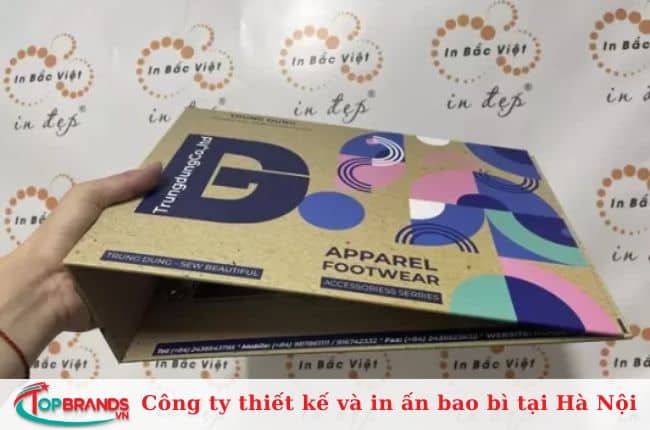 Công ty Bắc Việt