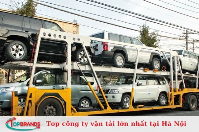 Công ty CP Toàn Cầu Vàng