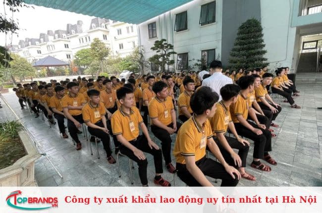 Công ty CP Quốc tế - TIC