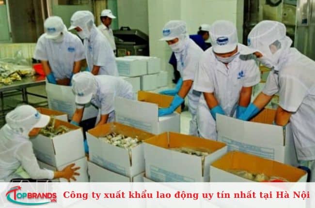 Công ty xuất khẩu lao động OLECO