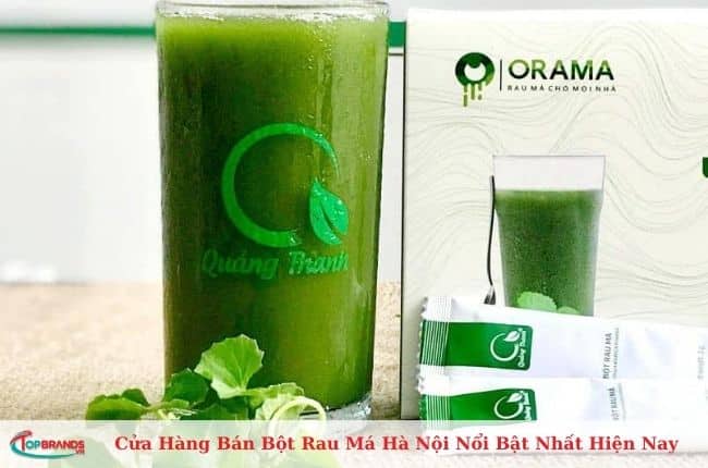 Các địa chỉ bán bột rau má Hà Nội uy tín nhất