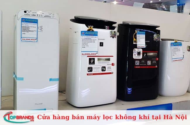 Công ty TNHH Kantona Việt Nam