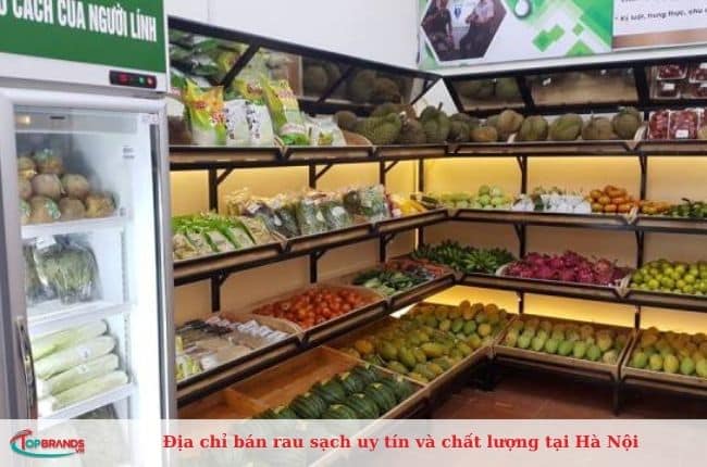 Cửa hàng bán rau sạch uy tín tại Hà Nội