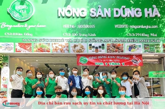 Cửa hàng cung cấp rau sạch Hà Nội chất lượng hàng đầu