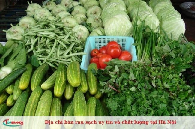 Cửa hàng bán rau sạch hàng đầu tại Hà Nội