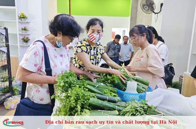 Địa chỉ bán rau sạch Hà Nội chất lượng hàng đầu