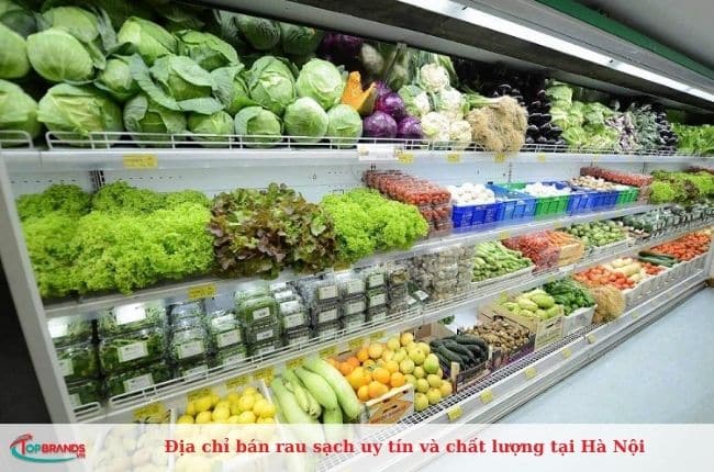 Điểm bán rau sạch uy tín và chất lượng tại Hà Nội