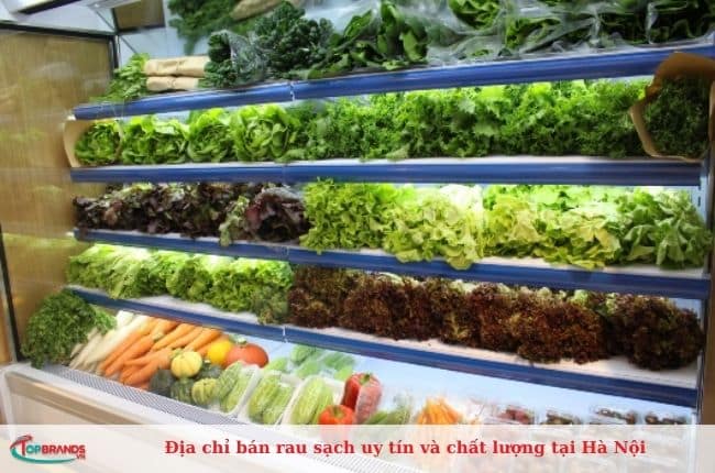 Cửa hàng bán rau sạch chất lượng tại Hà Nội