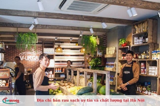 Chuyên bán rau sạch tốt nhất tại Hà Nội