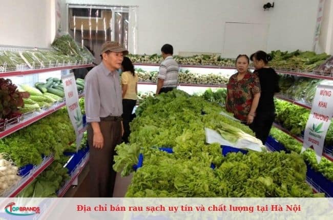 Nơi bán rau sạch tốt nhất tại Hà Nội