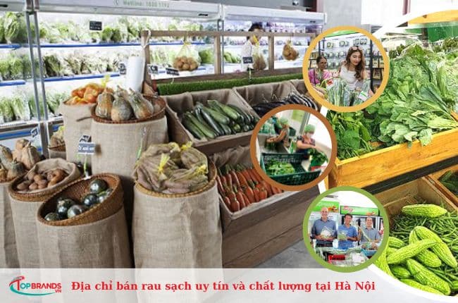 Địa chỉ bán rau sạch uy tín và chất lượng tại Hà Nội