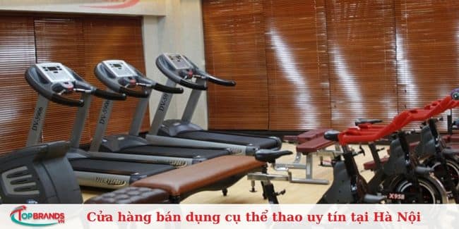 Đại Việt Sport