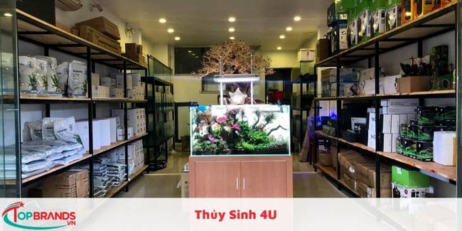 Thủy Sinh 4U