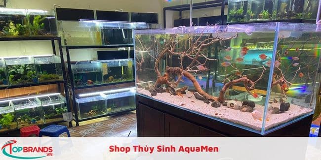 Shop Thủy Sinh AquaMen