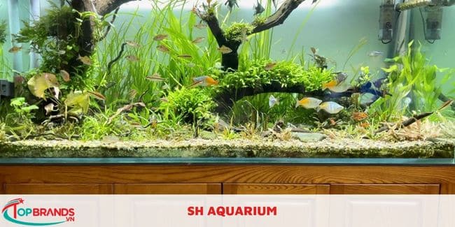 SH AQUARIUM