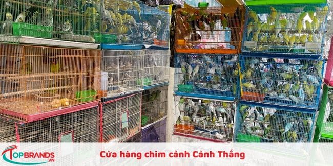 Cửa hàng chim cảnh Cảnh Thắng