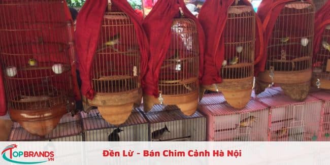 Đền Lừ - Bán Chim Cảnh Hà Nội