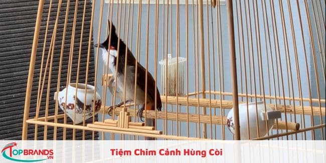 Tiệm Chim Cảnh Hùng Còi