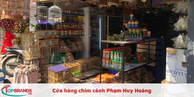 Các tiệm chim cảnh gần đây nhất được yêu thích