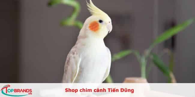 Shop chim cảnh Tiến Dũng