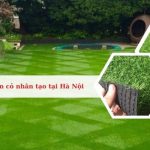Top 12 Địa chỉ bán cỏ nhân tạo sân vườn tại Hà Nội giá tốt, chất lượng