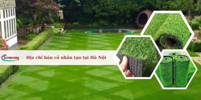 Top 12 Địa chỉ bán cỏ nhân tạo sân vườn tại Hà Nội giá tốt, chất lượng