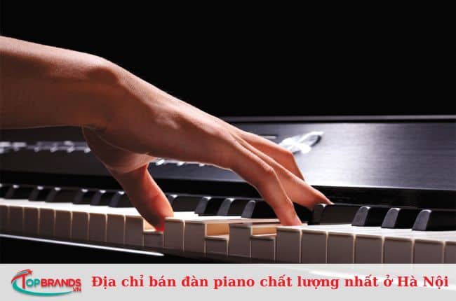 Nhạc cụ Tiến Đạt