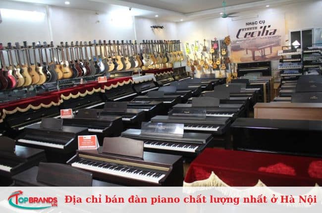 Showroom Nhạc cụ Cecilia