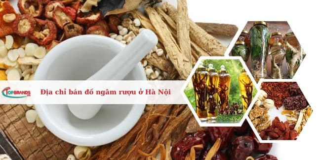 Top 7 địa chỉ chuyên bán đồ ngâm rượu ở Hà Nội ngon và uy tín nhất