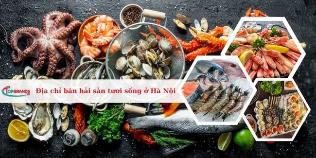 Top 9 Địa chỉ bán hải sản tươi sống ở Hà Nội giá tốt, chất lượng