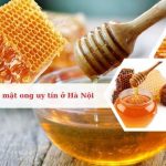 Top 12 Địa chỉ bán mật ong nguyên chất ở Hà Nội chất lượng nhất