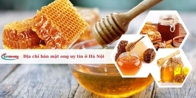 Top 12 Địa chỉ bán mật ong nguyên chất ở Hà Nội chất lượng nhất