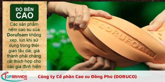 Các địa chỉ mua nệm cao su uy tín ở Hà Nội