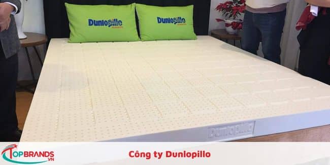 Công ty Dunlopillo