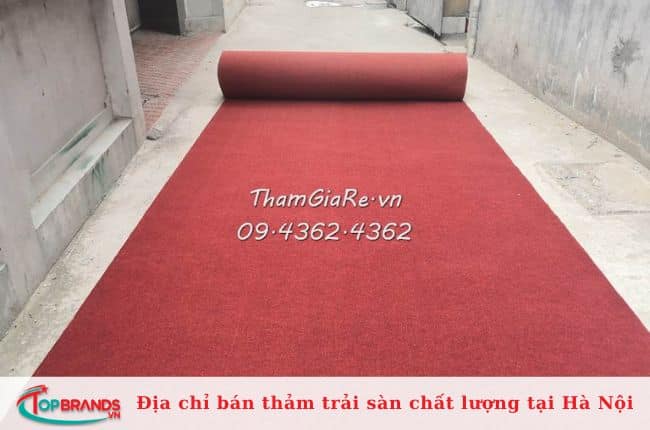 Thảm Giá Rẻ. VN
