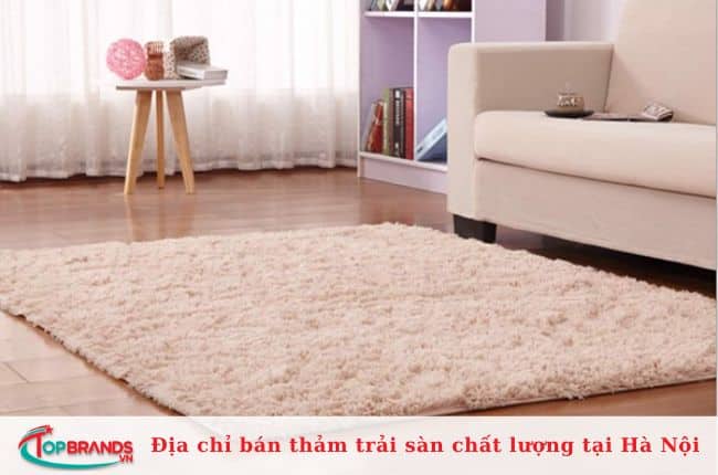 Một trong các địa chỉ bán thảm trải sàn ở Hà Nội chất lượng nhất
