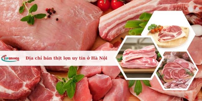 Top 13 địa chỉ bán thịt lợn (heo) sạch tại Hà Nội uy tín nhất