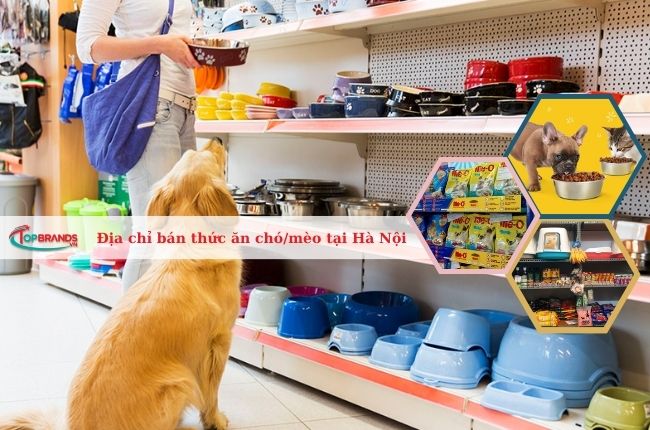 Top 11 Địa chỉ bán thức ăn chó/mèo uy tại Hà Nội tín nhất