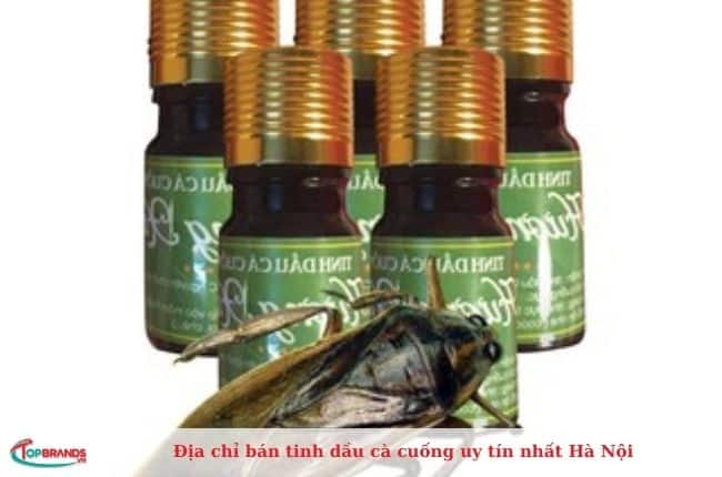 Địa chỉ bán tinh dầu cà cuống chất lượng tại Hà Nội