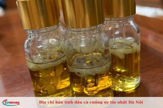 Địa chỉ bán cà cuống chất lượng tại Hà Nội