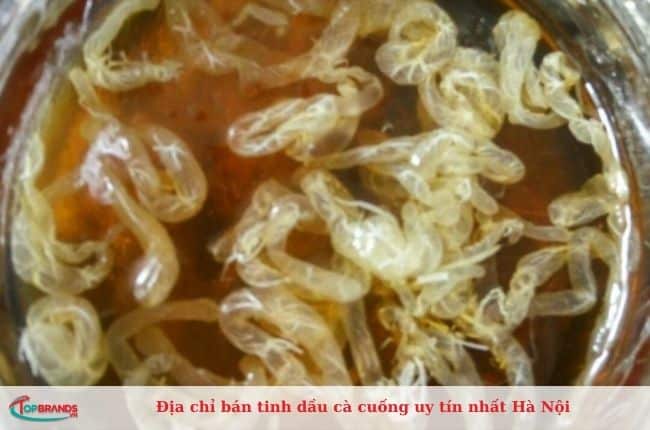 Cửa hàng bán cà cuống Hà Nội uy tín, chất