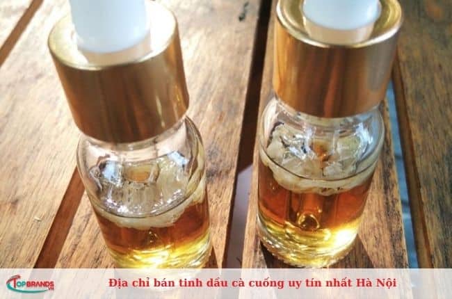 Điểm bán cà cuống uy tín nhất tại Hà Nội