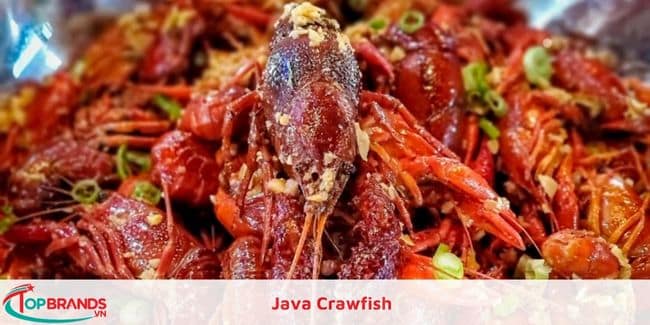 Java Crawfish