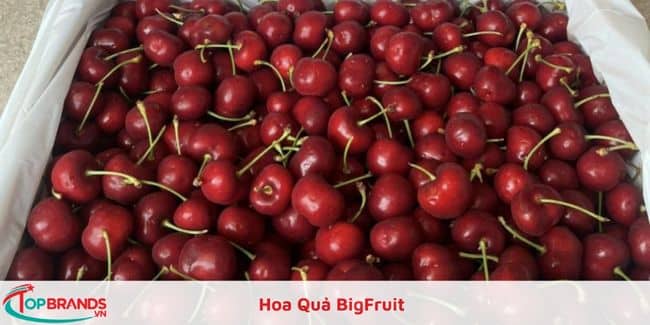 Hoa Quả BigFruit