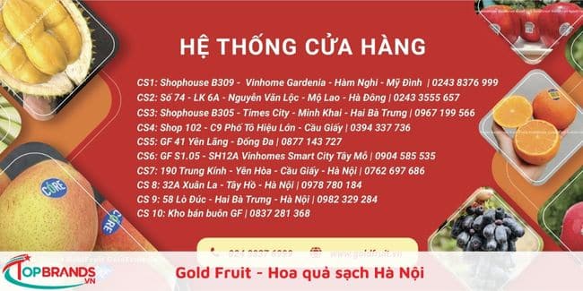 Gold Fruit - Hoa quả sạch Hà Nội