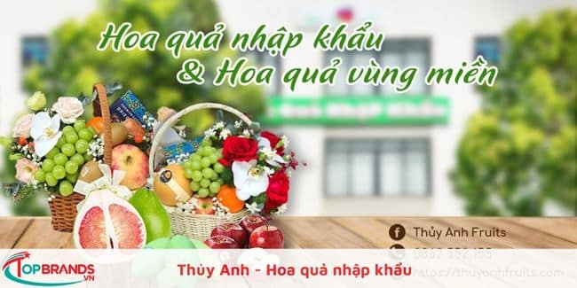 Thủy Anh - Hoa quả nhập khẩu