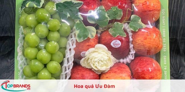 Hoa quả Ưu Đàm